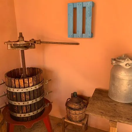 Selene Domus Collection Bed & Breakfast 3*