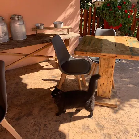 Bed & Breakfast Selene Domus Collection