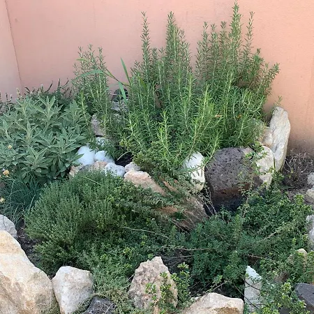 Panzió Selene Domus Collection