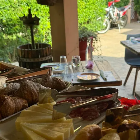 Selene Domus Collection 3*