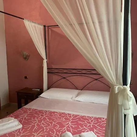 Selene Domus Collection Nurachi