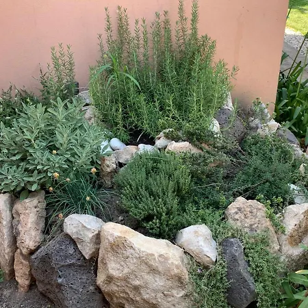 Selene Domus Collection 3* Nurachi