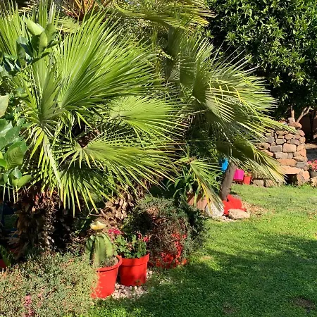 Frühstückspension Selene Domus Collection