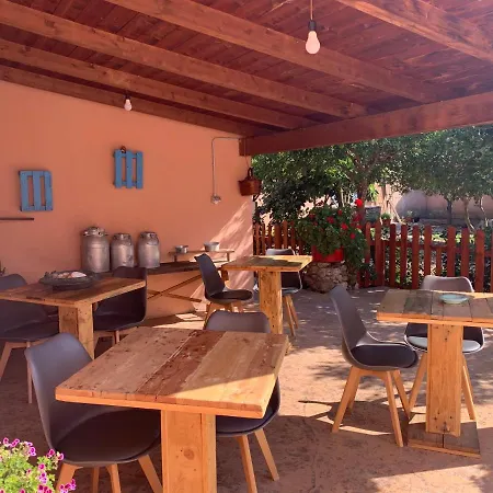 Selene Domus Collection